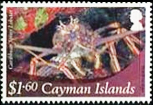 Cayman Islands 2012 Definitives - Marine Life g.jpg