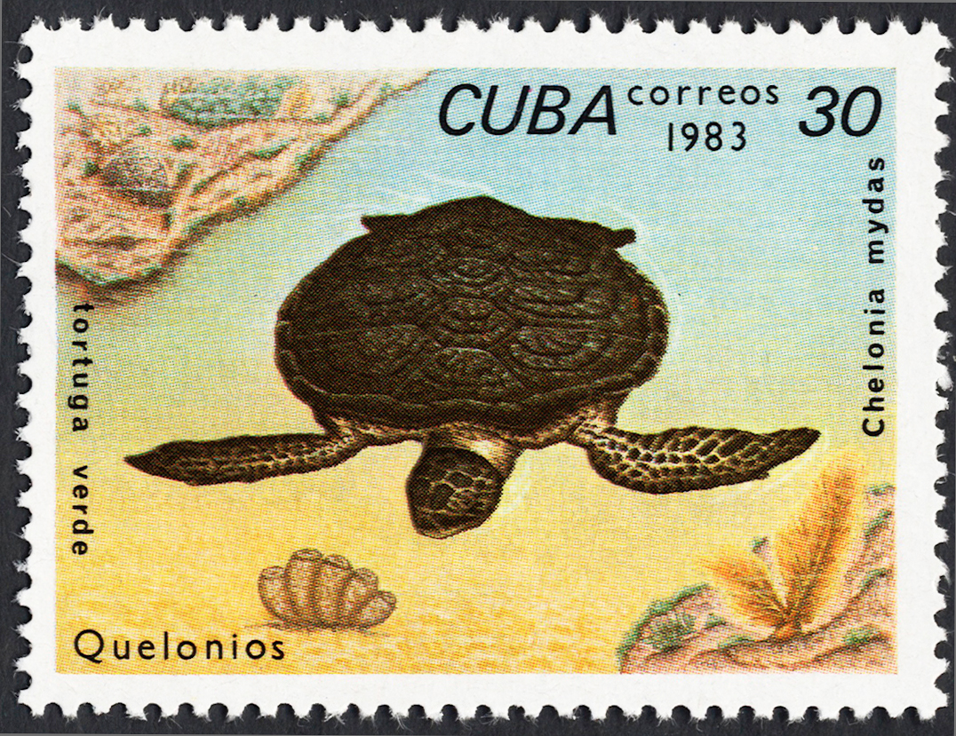 Cuba 1983 Turtles 30c.jpg