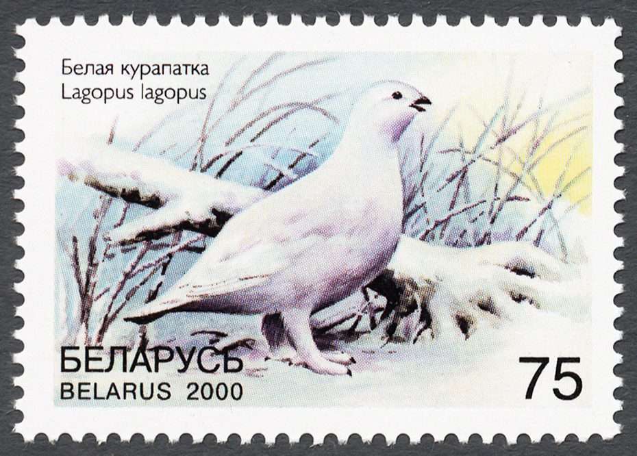 Belarus 2000 Rare Birds 75.jpg