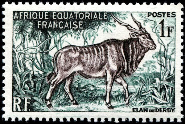 French Equatorial Africa 1957 Definitives - Animals 1f.jpg