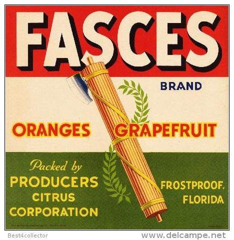 The use of Allegories in the rise and fall of Fascism fk.jpg