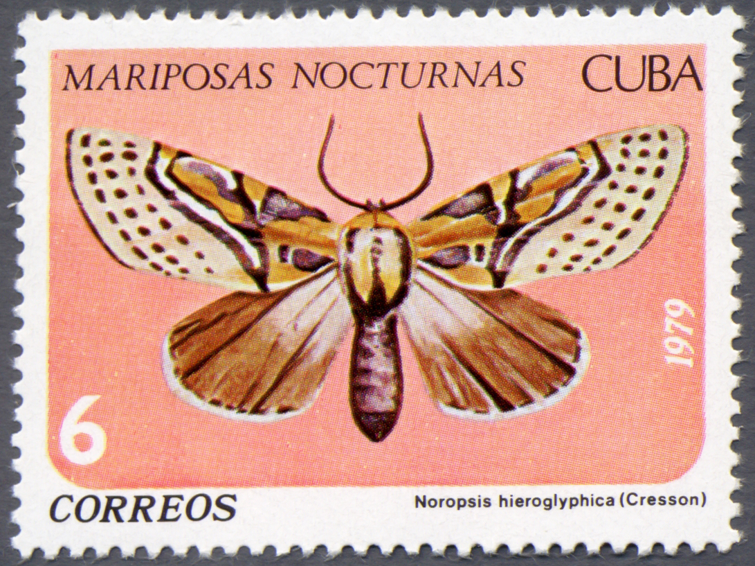 Cuba 1979 Nocturnal Butterflies 6c.jpg