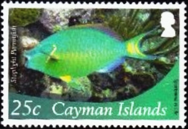 Cayman Islands 2012 Definitives - Marine Life a.jpg