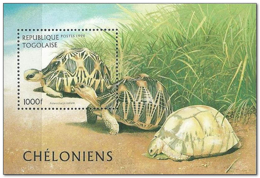 Togo 1996 Turtles ms.jpg