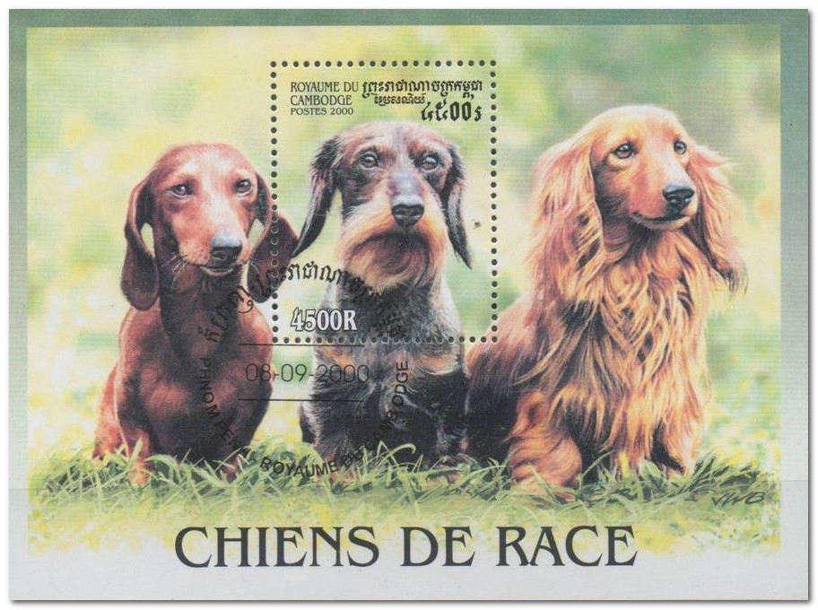 Cambodia 2000 Dachshunds g.jpg
