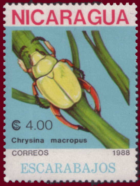 Nicaragua 1988 Beetles a.jpg