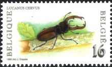 Belgium 1996 Nature - Insects c.jpg