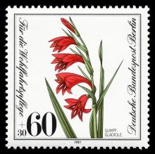 Germany-Berlin 1981 Charity Stamps - Flowers 60+30.jpg
