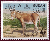 Sudan 19940715 Equus africanus b.jpg
