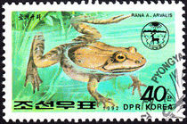 Korea (North) 1992 Frogs and Toads 40ch.jpg