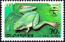 Korea (North) 1992 Frogs and Toads 70chB.jpg