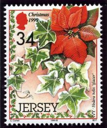 Jersey 1999 Christmas.34p.jpg