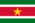Surinam Flag.png