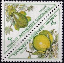 Gabon 1962 Postage Due - Fruits 5F.jpg