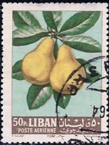 Lebanon 1962 Airmail - Fruits 50p.jpg