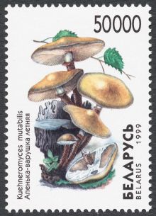 Belarus 1999 Fungi 50000.jpg