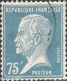France 1924 - 1926 Definitives - Pasteur 75c.jpg