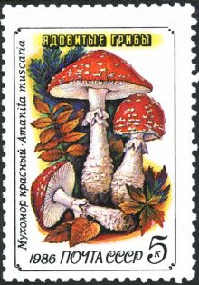 USSR 1986 Fungi 5.jpg