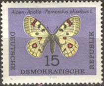 Germany-DDR 1964 Butterflies 15pf.jpg