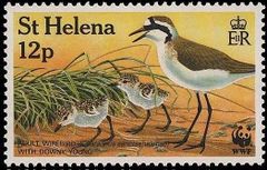 St Helena 1993 Wirebird WWF c.jpg
