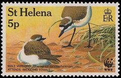 St Helena 1993 Wirebird WWF b.jpg