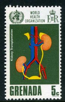 Grenada 1968 World Health Organization Anniversary a.jpg