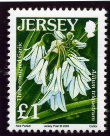 Jersey 2005 Wild Flowers.£1.jpg
