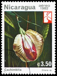 Nicaragua 1982 Airmail - Woodland Flowers 3,50cor.jpg