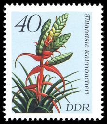 Germany-DDR 1988 Flowers 40pf.jpg