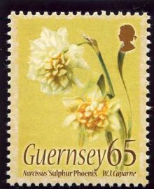 Guernsey 2005 Watercolour Paintings of Flowers f.jpg