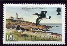 Isle of Man 1983 Sea Bird Definitives. 18p.jpg