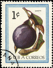 Cuba 1963 Fruits 1c.jpg