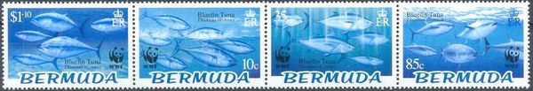 Bermuda 2004 Bluefin Tuna a.jpg