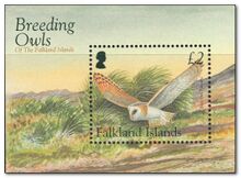 Falkland Islands 2004 Owls fdc.jpg