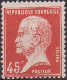 France 1924 - 1926 Definitives - Pasteur 45c.jpg