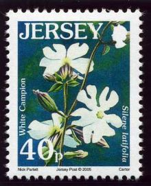 Jersey 2005 Wild Flowers.40p.jpg