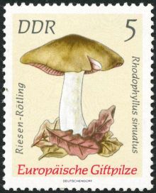 Germany-DDR 1974 Fungi 5.jpg