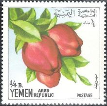 Yemen Arab Republic 1967 Fruits ¼bB.jpg