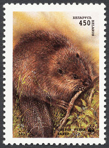 Belarus 1995 European Beaver b 450.jpg