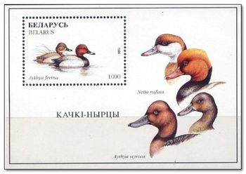 Belarus 1996 Birds ms.jpg