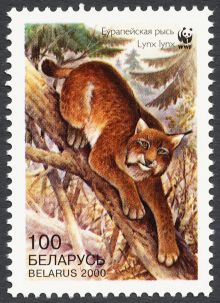 Belarus 2000 WWF - European Lynx b 100.jpg
