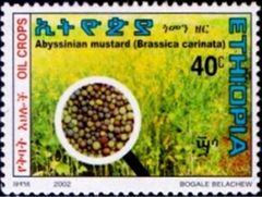 Ethiopia 2002 Oil Producing Seeds a.jpg