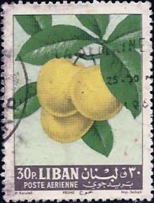 Lebanon 1962 Airmail - Fruits 30p.jpg