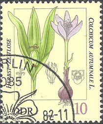 Germany-DDR 1982 Poisonous Plants 10pf.jpg