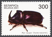 Belarus 2001 Beetles b 300.jpg