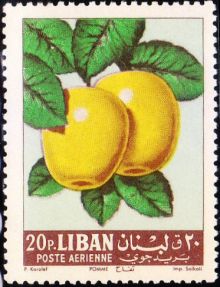 Lebanon 1962 Airmail - Fruits 20p.jpg