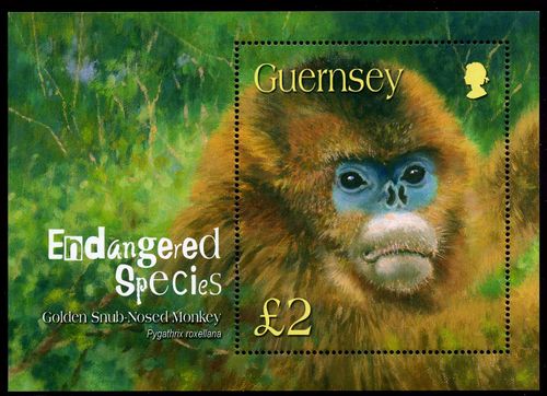 Guernsey 2004 Endangered Species - Golden Monkey b.jpg