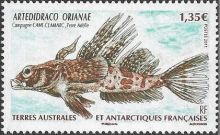 French Southern and Antarctic Territories (TAAF) 2011 Fish – Artedidraco Orianae a.jpg