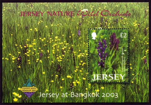 Jersey 2003 Bankok 2003.MS.jpg