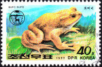Korea (North) 1992 Frogs and Toads 40chA.jpg